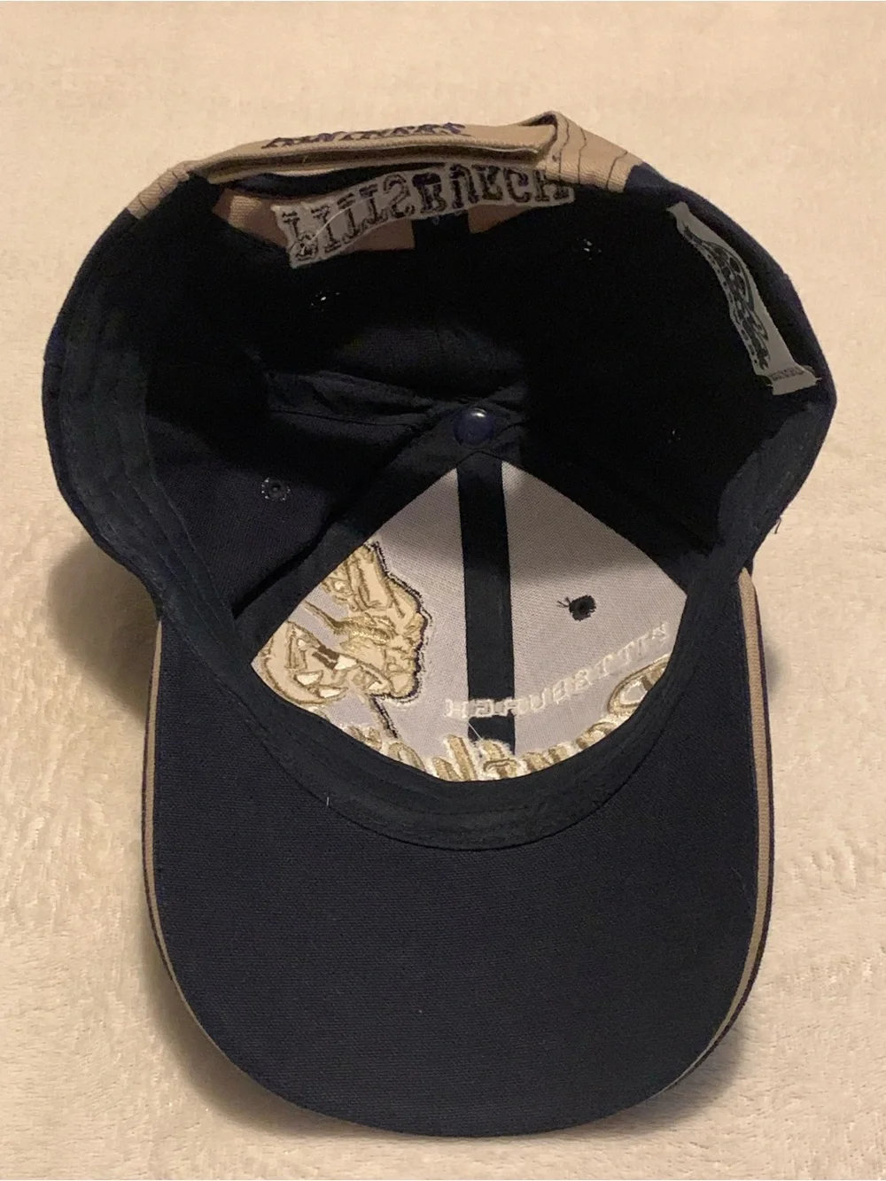 Pitt Panthers hat